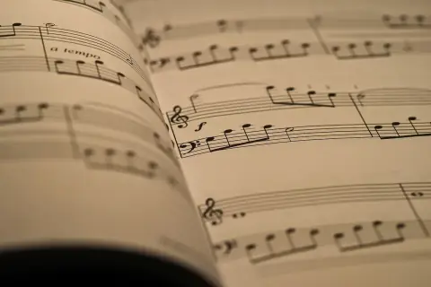 Фестиваль русской музыки. Лебединое озеро
