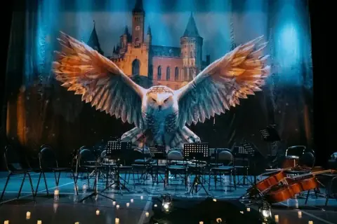 Harry Potter. Magic Music