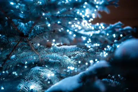 Ледяное сердце Эльзы