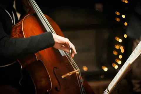 The Cellos. Рок на виолончелях
