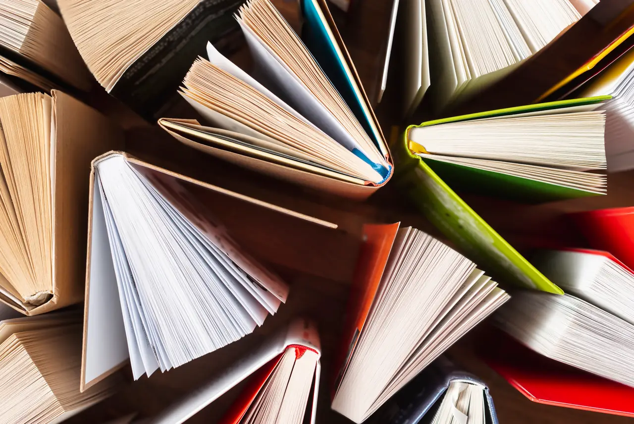 Девушка с жемчужной серёжкой: книга, фильм, образ