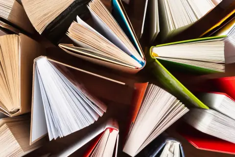 Девушка с жемчужной серёжкой: книга, фильм, образ